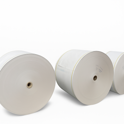 DUPLEX PAPER REEL